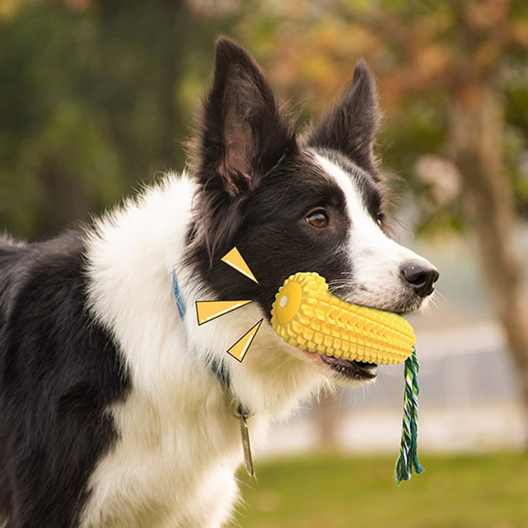 Jouets populaires et durables  - Corn Dog Stick avis et prix